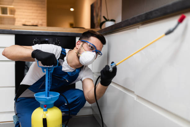 Best Flea Control Services  in Jeffersonville, KY