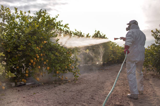 Best Residential Pest Control  in Jeffersonville, KY