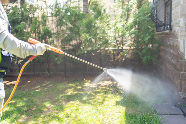 Best Pest Control Near Me in Jeffersonville, KY