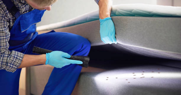 Best Ant Control Services  in Jeffersonville, KY