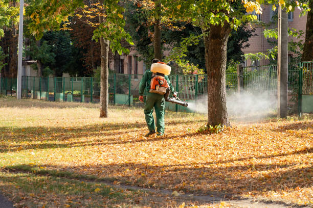 Best Best Pest Control Near Me  in Jeffersonville, KY