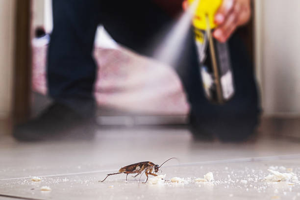 Best Pest Removal Services  in Jeffersonville, KY