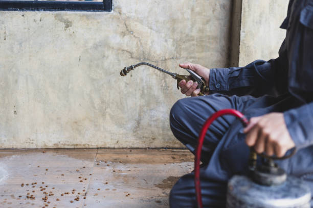 Best Residential Pest Control  in Jeffersonville, KY
